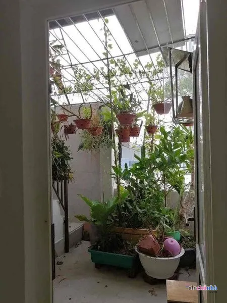 Bán Nhà số 245/5 Đường Lê Duẩn, Phường Tân Chính - ảnh 3