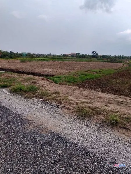 Bán Đất số 23 Đường Võ Văn Ngân, Xã Phước Tuy - ảnh 4
