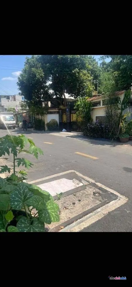 Bán Nhà số 105 Phố Phan Đăng Lưu, Phường Dĩ An - ảnh 3
