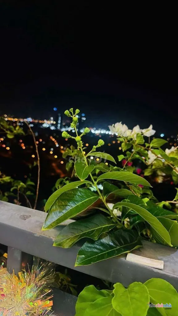 Bán  Căn Hộ số 269 đường Liên Phường, phường Phước Long B, Thành Phố Thủ Đức