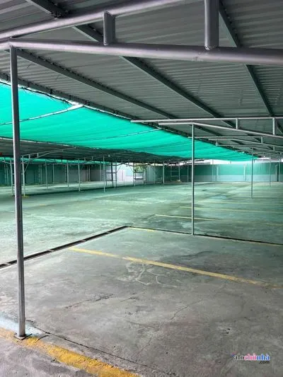 Bán  Đất số 84/7 Đường Số 11, Phường Trường Thọ, Thành phố Thủ Đức - ảnh 4