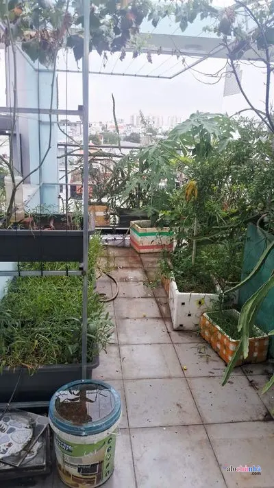 Bán  Nhà số 45/35/25 Đường Đông Hưng Thuận 2, Phường Tân Hưng Thuận, Quận 12 - ảnh 3