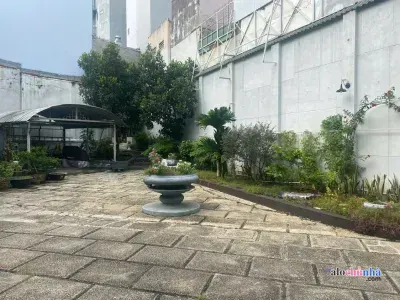 Bán Nhà Cấp 4 số 42A đường Trần Huy Liệu, phường 11, quận Phú Nhuận - ảnh 2