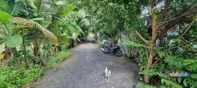 Bán Nhà số 396/8A Đường Hà Duy Phiên, Xã Bình Mỹ, Huyện Củ Chi - ảnh 2