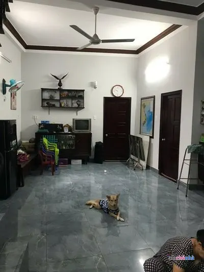 Bán Nhà số 31 Đường Phan Văn Hớn, Phường Tân Thới Nhất, Quận 12 - ảnh 3
