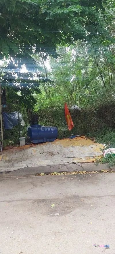 Bán  Đất số 82 Đường Bưng Ông Thoàn, Phường Phú Hữu, Thành phố Thủ Đức - ảnh 2