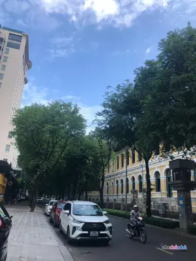 Bán Nhà số 35C đường Nguyễn Trung Trực, Phường Bến Thành, quận 1 - ảnh 3