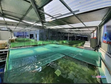 Bán  Đất số 206/3 đường Nguyễn Văn Linh, Phường Tân Thuận Tây, Quận 7