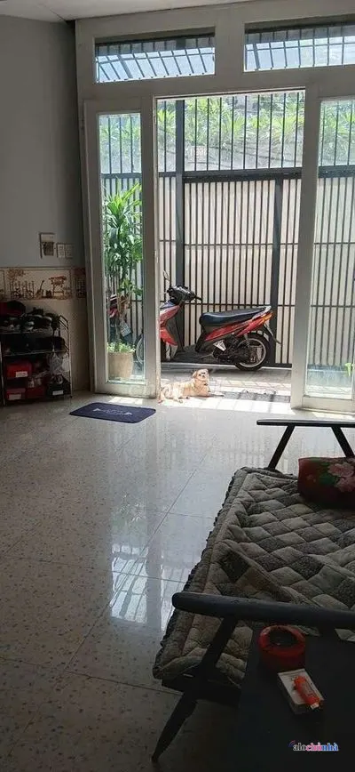 Bán  Nhà số 366/1 đường Gò Dầu, Tân Sơn Nhì, quận Tân Phú - ảnh 4