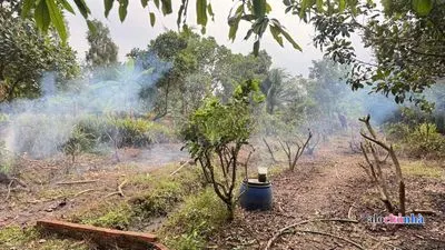 Bán  Nhà số 10 đường Bình Mỹ, xã Bình Mỹ, huyện Củ Chi - ảnh 3