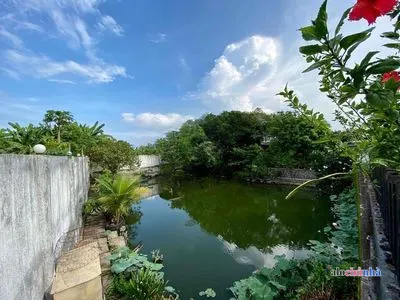 Bán  Biệt Thự số 308B3/4 Đường 7 Tấn, Xã An Phú Tây, Huyện Bình Chánh - ảnh 4