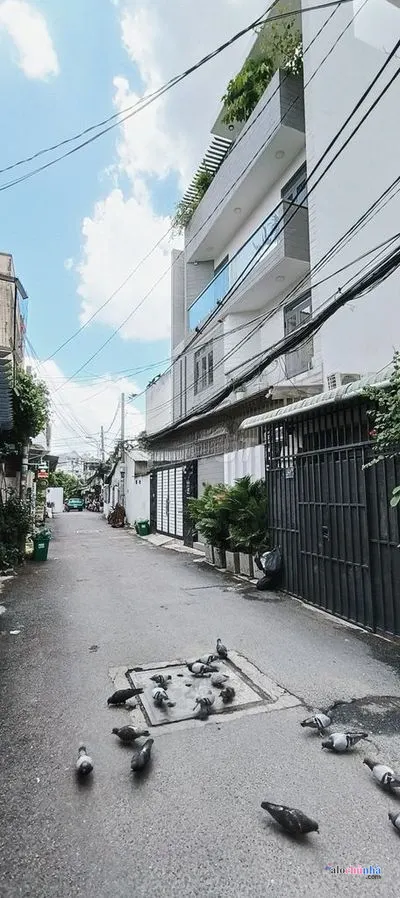 Bán  Nhà số 49A đường Số 19, phường Linh Chiểu, Thành Phố Thủ Đức - ảnh 2