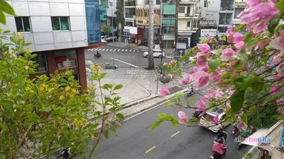 Bán  Nhà số 199 đường Sư Vạn Hạnh, phường 9, quận 10 - ảnh 2