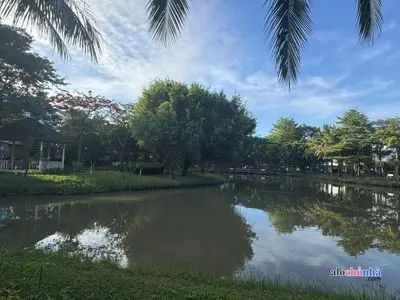Bán  Nhà số 6 Đường Số 12, Phường Phú Hữu, Thành Phố Thủ Đức - ảnh 3