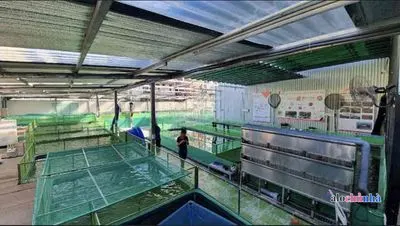 Bán  Đất số 206/3 đường Nguyễn Văn Linh, Phường Tân Thuận Tây, Quận 7 - ảnh 4